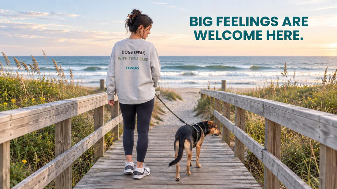5 Ways to Calm a Reactive Dog: A Guide for 2026