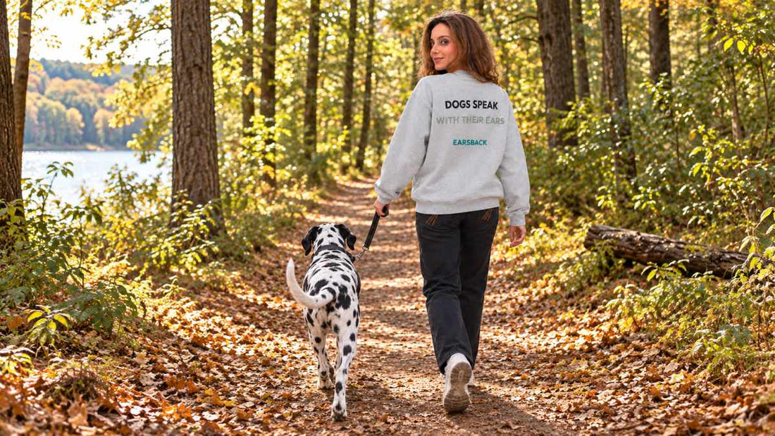 Managing Reactive Dog Anxiety in Public