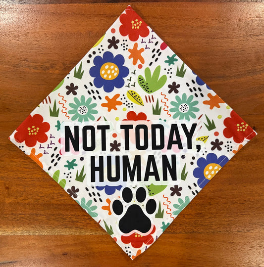 Not Today Human Floral Dog Bandana | EARSBACK